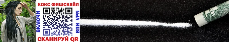 ссылка на мегу зеркало Макушино COCAIN FishScale