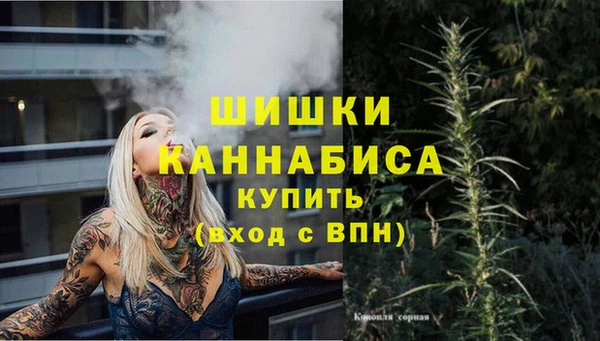 PSILOCYBIN Медвежьегорск
